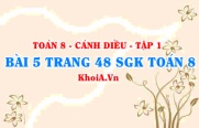 Bài 5 trang 48 SGK Toán 8 tập 1 Cánh Diều